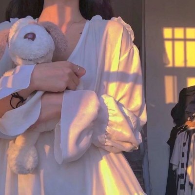 金刚战士 海报